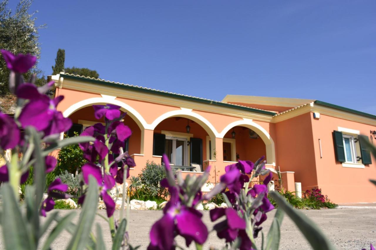 Villa Skafonas Sinarádes エクステリア 写真